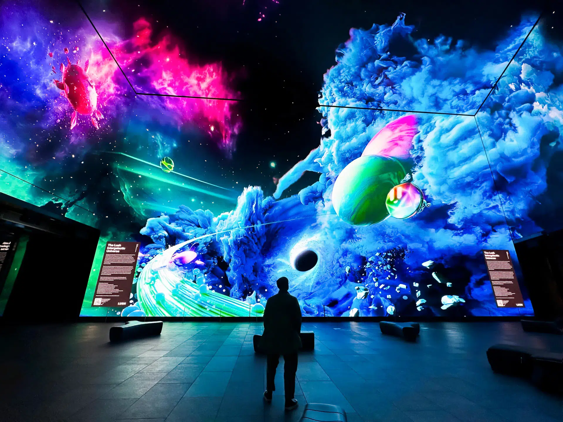 IMG_8346_straight_copy