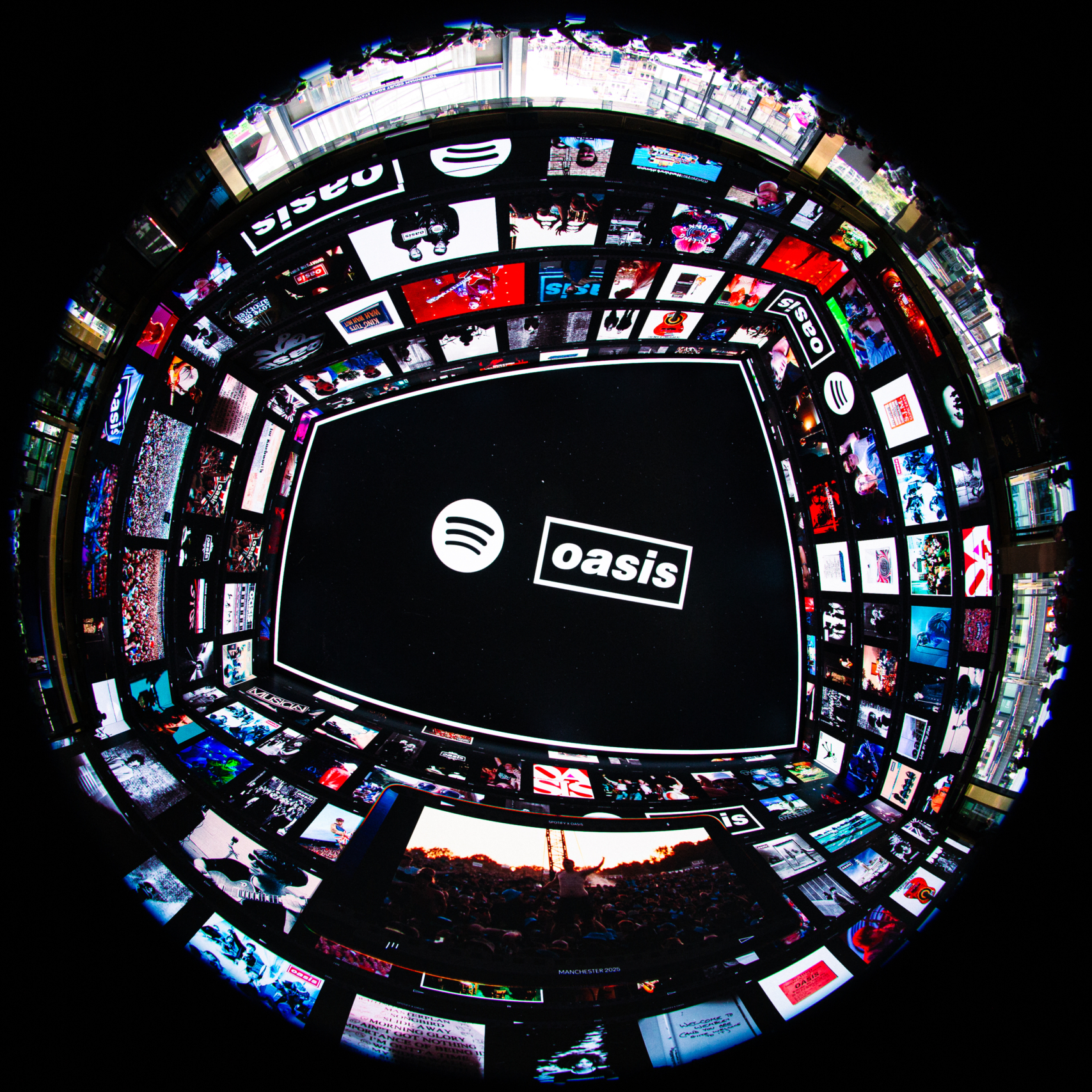 Oasis 1x1